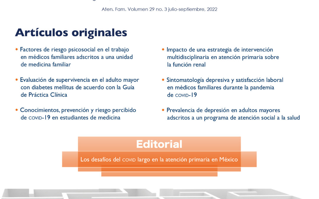 Revista Atención Familiar 29 3